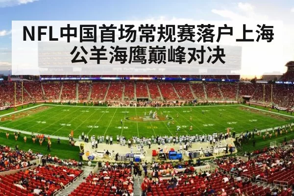 American football stadium crowd