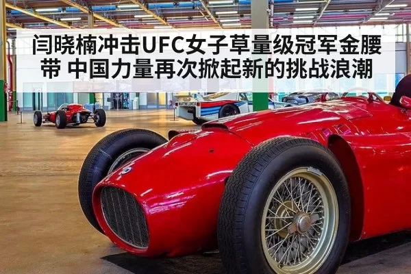 闫晓楠冲击UFC女子草量级冠军金腰带 中国力量再次掀起新的挑战浪潮